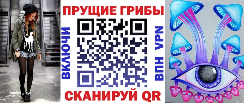купить наркотики сайты Хилок Псилоцибиновые грибы Cubensis